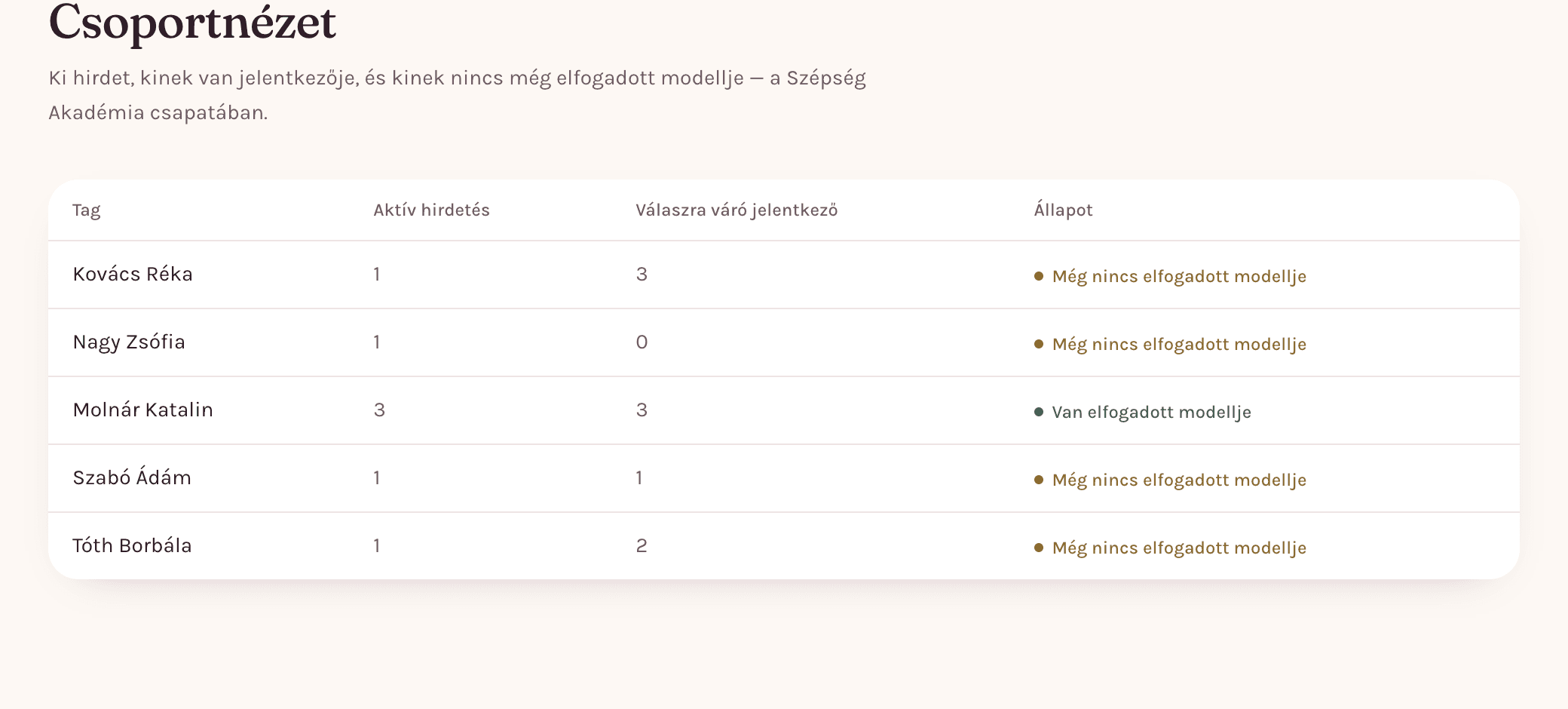 A csoportnézet táblázata: tagonként az aktív hirdetések száma, a válaszra váró jelentkezők száma és az, hogy van-e már elfogadott modellje.